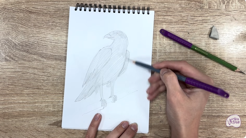 Рисуем Хохлатый осоед