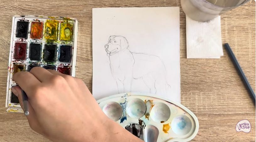 Рисуем Собака породы Бернский зенненхунд