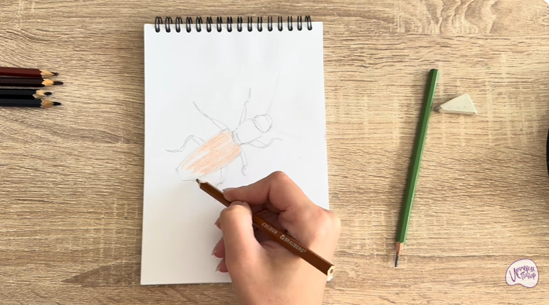 Рисуем Мукоед