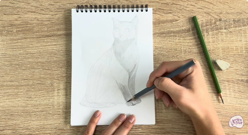 Рисуем Бурманский кот