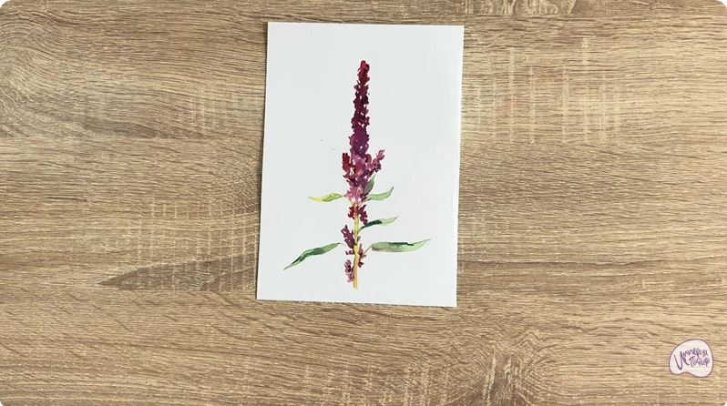 Рисуем Амарант