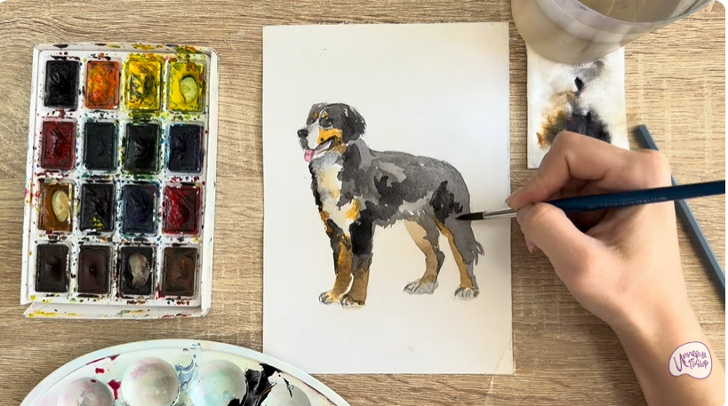 Рисуем Собака породы Бернский зенненхунд