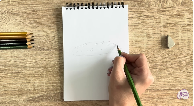 Рисуем Голотурия