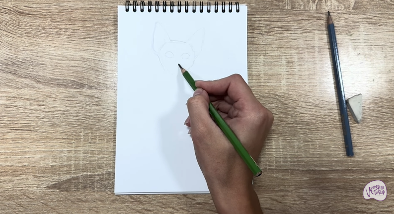 Рисуем Девон Рекс