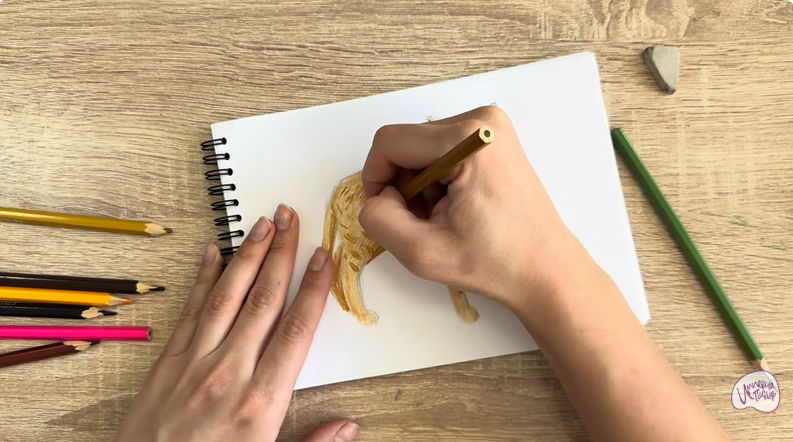 Рисуем Кот породы Оцикет