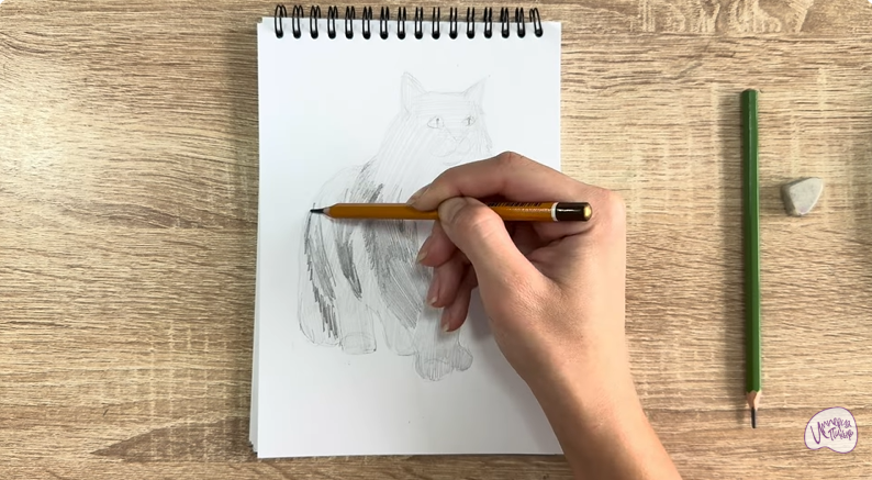 Рисуем Норвежский лесной кот