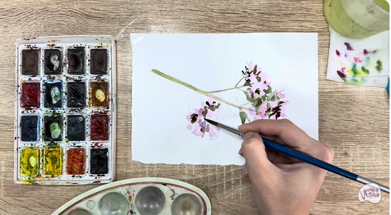 Рисуем Душица