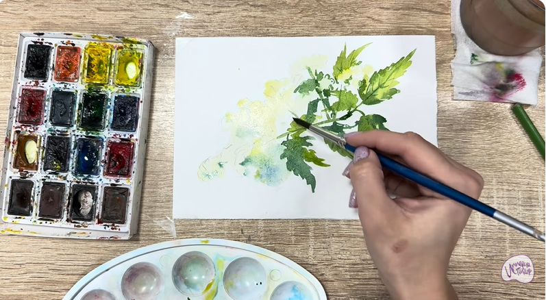 Рисуем Таволга