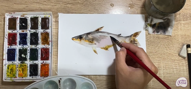 Рисуем Пангасиус