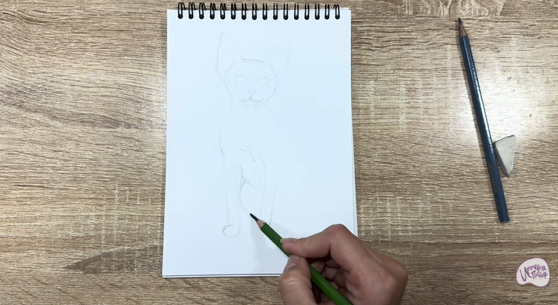 Рисуем Девон Рекс