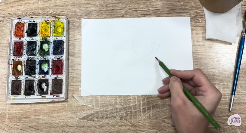 Рисуем Очиток