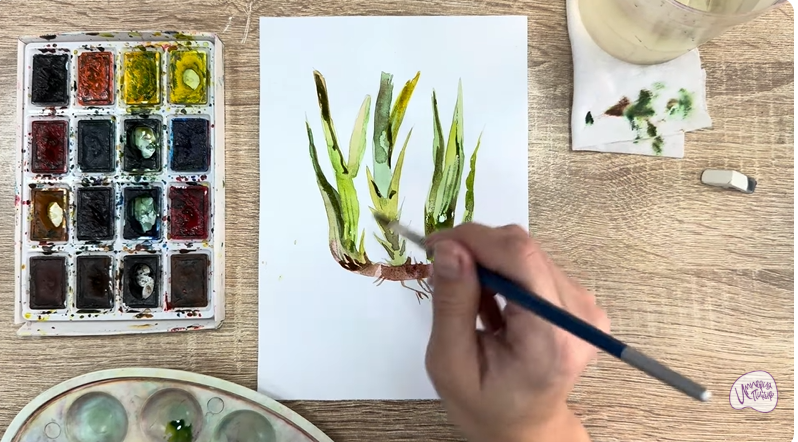 Рисуем Аир болотный