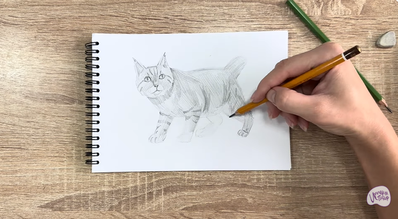 Рисуем Пиксибоб