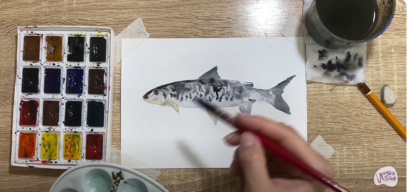 Рисуем Сиг