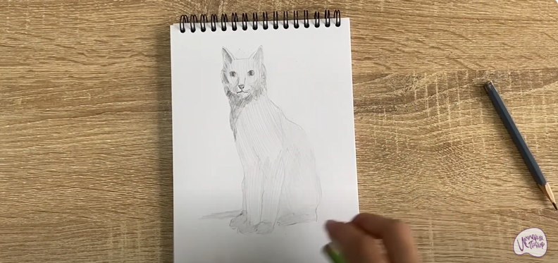 Рисуем Турецкая ангора