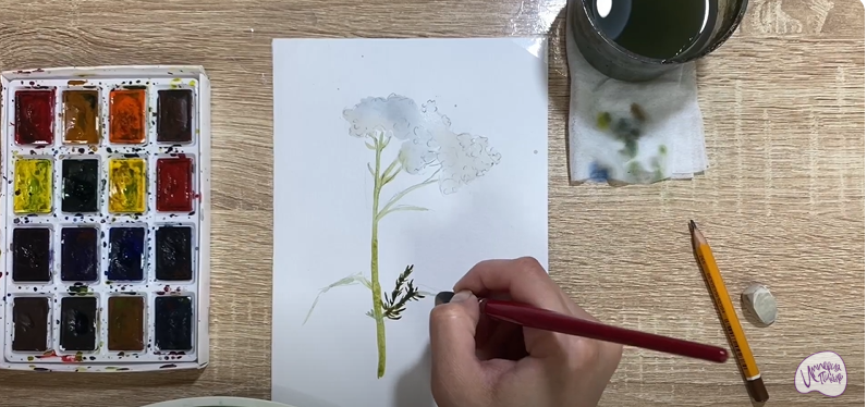 Рисуем Тысячелистник