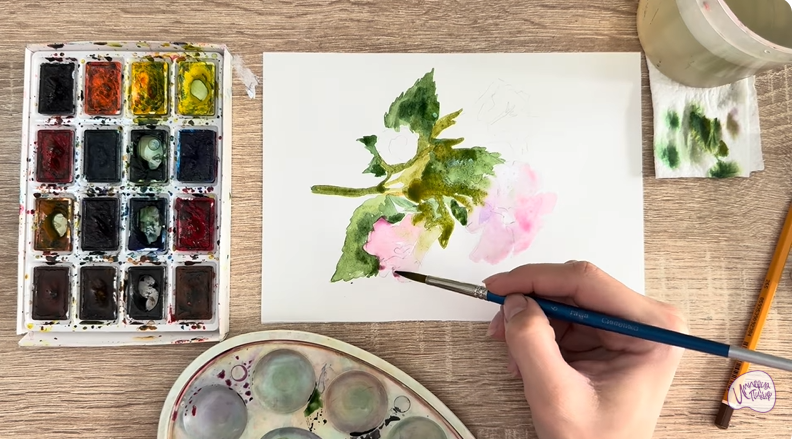 Рисуем Алтей лекарственный