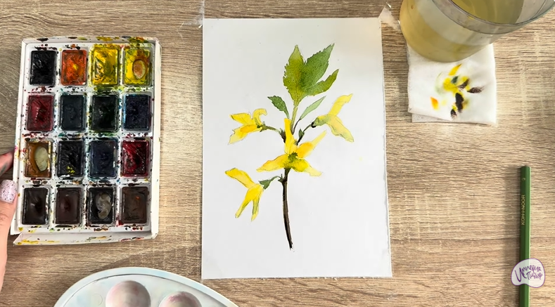 Рисуем Форзиция