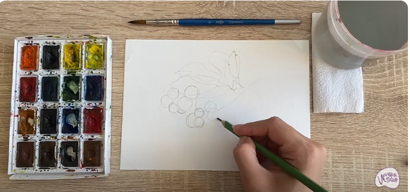 Рисуем Ирга