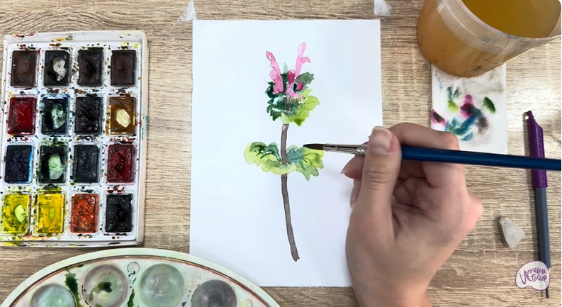 Рисуем Яснотка