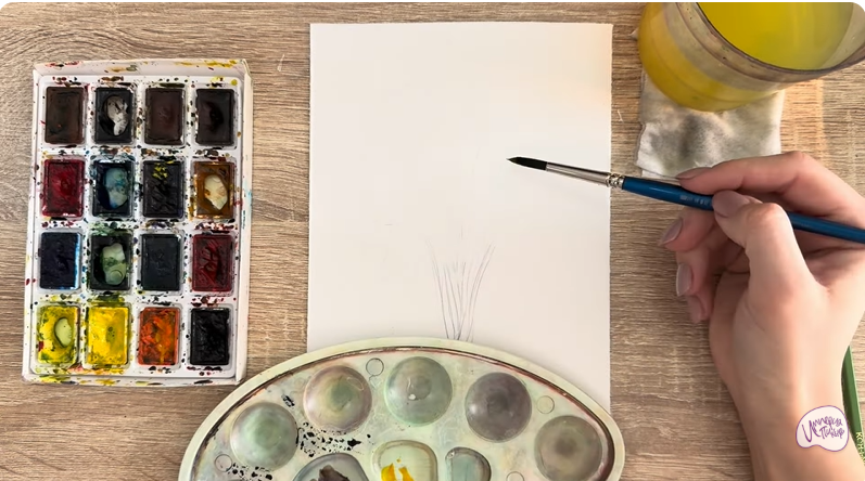 Рисуем Багрянник японский