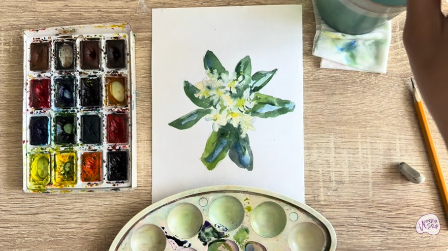 Рисуем Питтоспорум