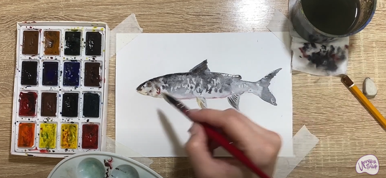 Рисуем Сиг