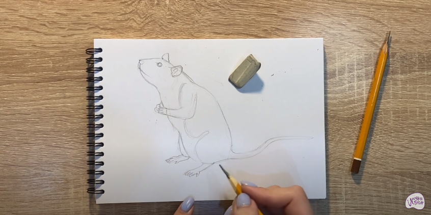 Рисуем Крыса