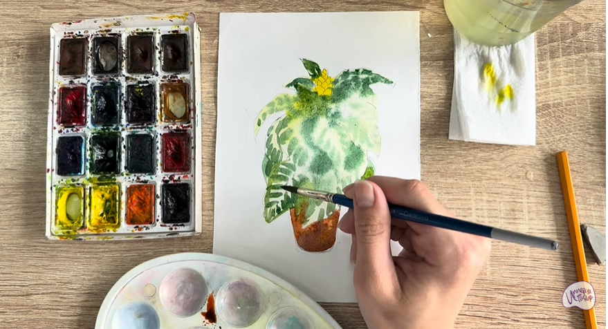 Рисуем Афеландра в горшке