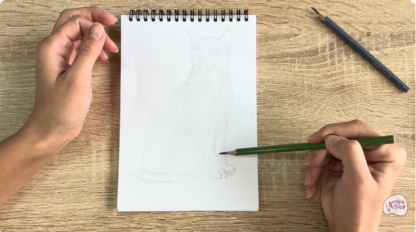 Рисуем Бурманский кот