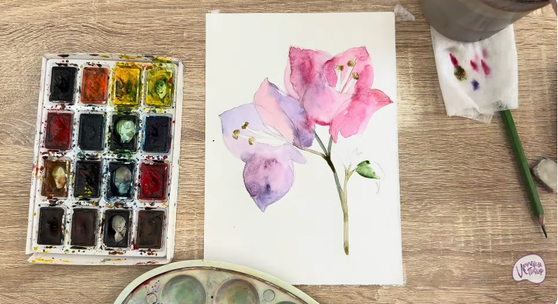 Рисуем Бугенвиллея