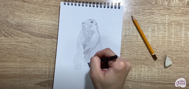 Рисуем Суслик