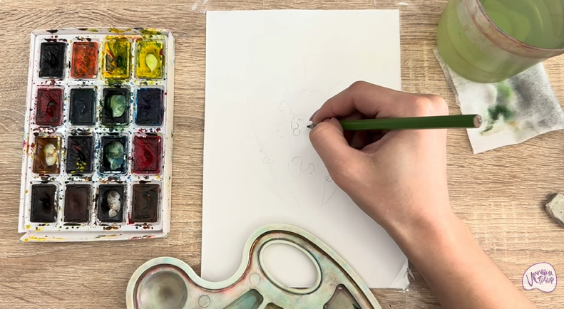 Рисуем Тис ягодный