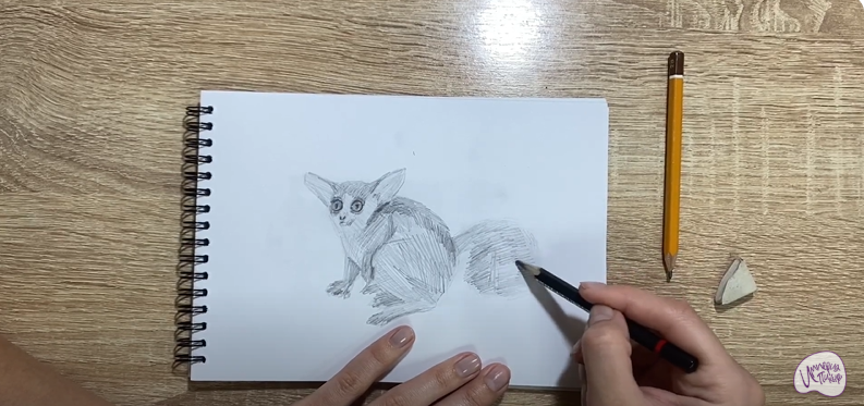 Рисуем Галаго