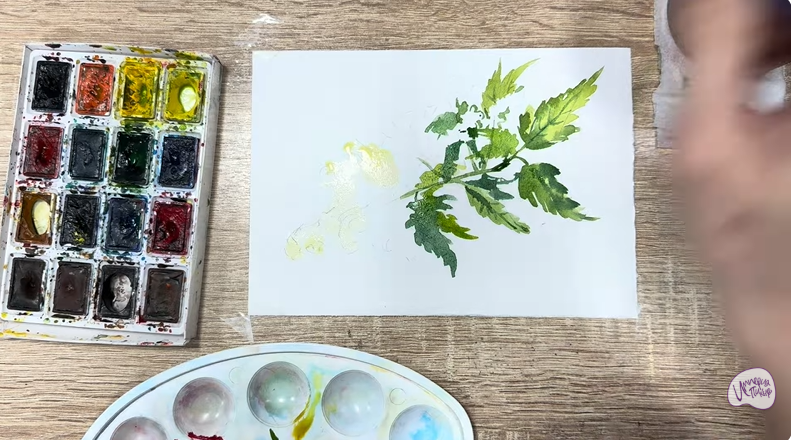 Рисуем Таволга