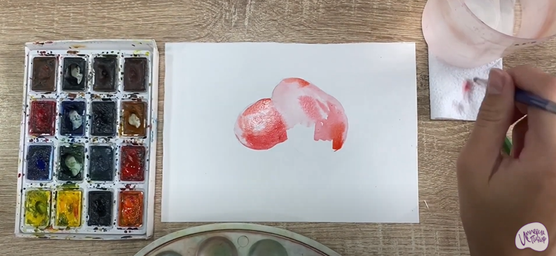 Рисуем Зизифус