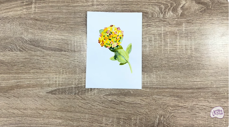 Рисуем Хойя