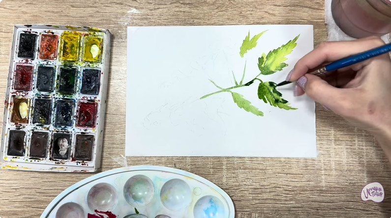 Рисуем Таволга