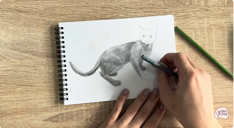 Рисуем Бомбейская кошка