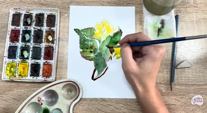 Рисуем Диервилла