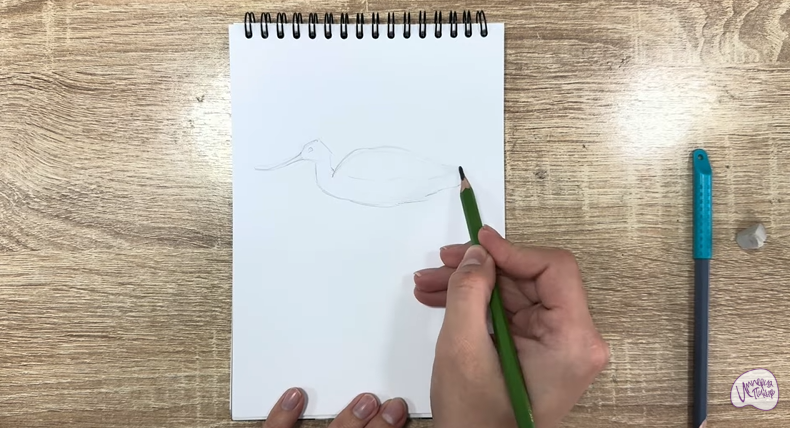 Рисуем Шилоклювка