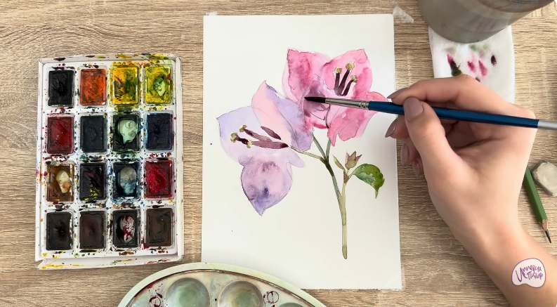 Рисуем Бугенвиллея