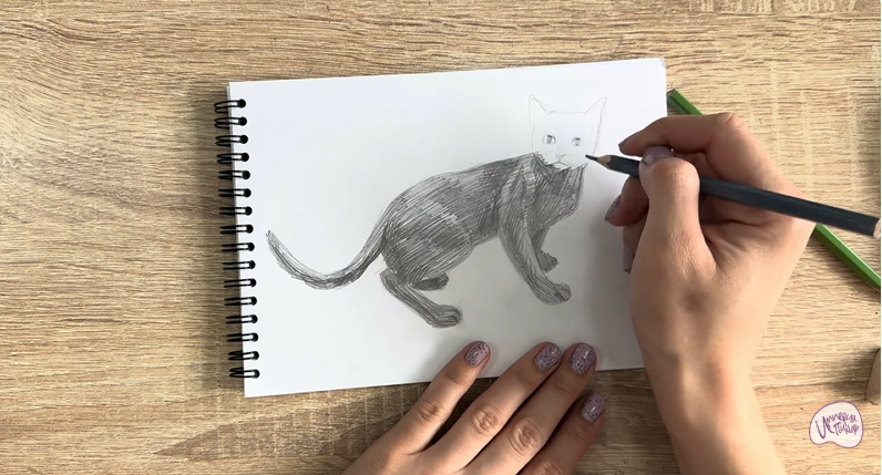 Рисуем Бомбейская кошка