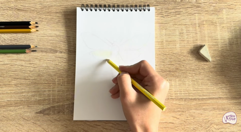 Рисуем Древесница въедливая