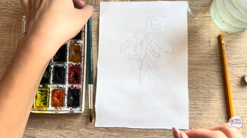 Рисуем Абелиолистник