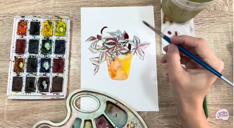 Рисуем Традесканция