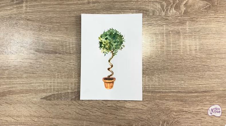 Рисуем Мирт обыкновенный