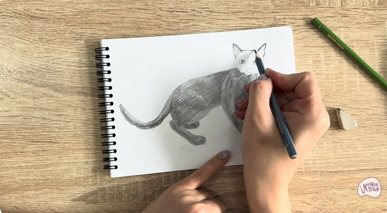 Рисуем Бомбейская кошка