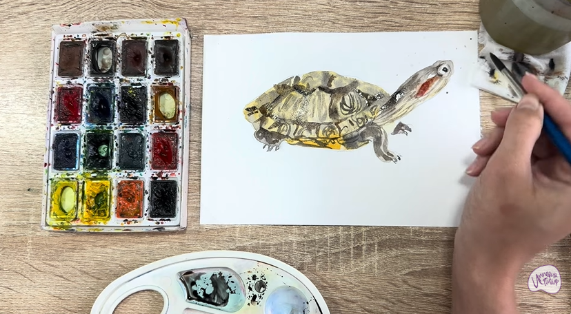 Рисуем Красноухая черепаха
