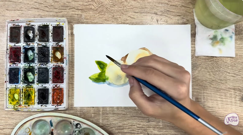 Рисуем Макадамия